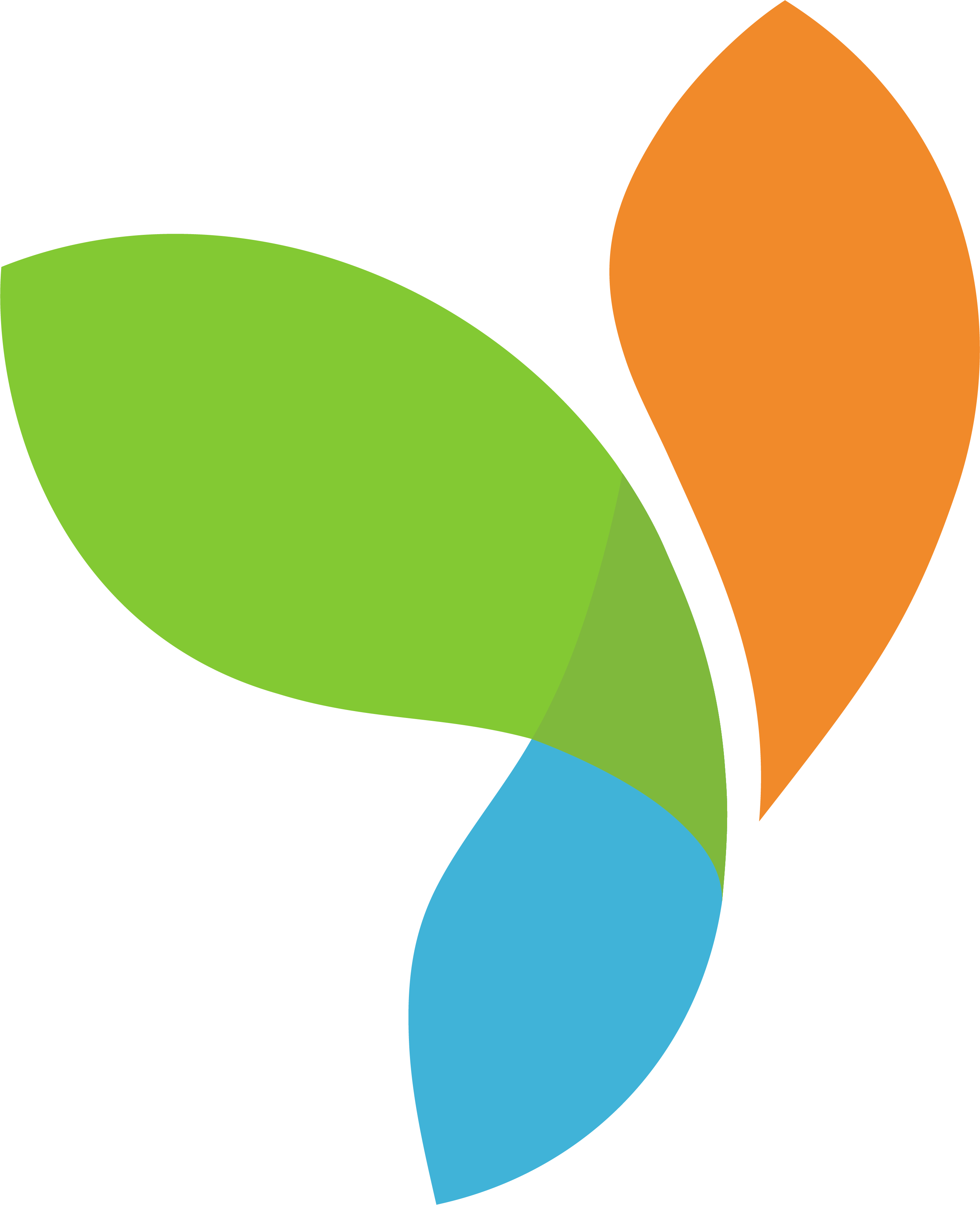 yii Logo